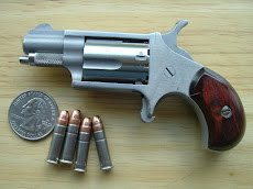 North American Arms Mini .22 L.R.