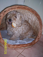 Masky