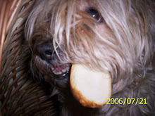 Masky