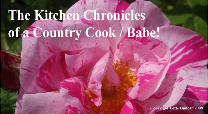 Kitchen Chronicles