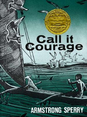 call it courage audiobook call it courage audiobook