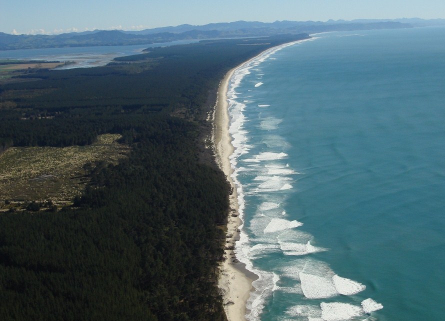 Matakana Island Tours