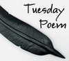 Tuesday Poem Member