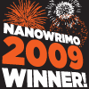 We Completed NaNoWriMo 2009!