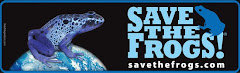 save the frogs