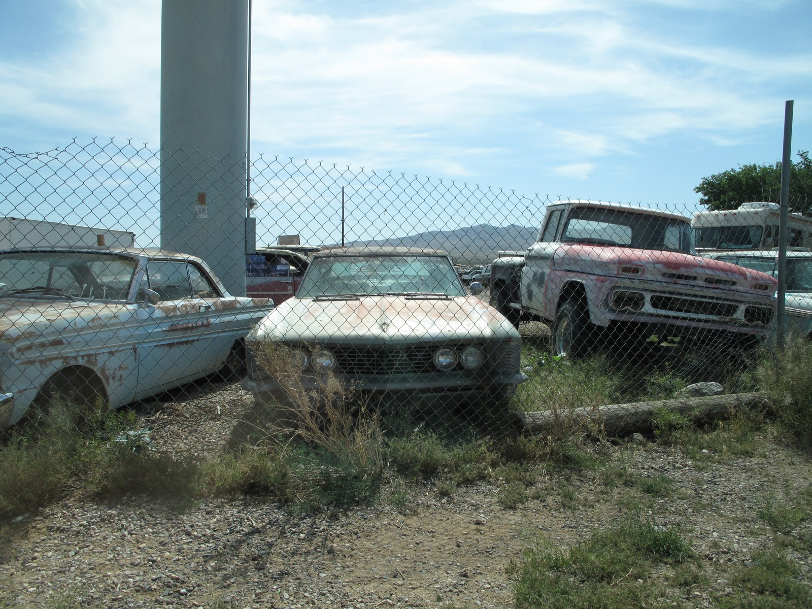 whatever�s cool with you Desert Caryard + Salton Sea