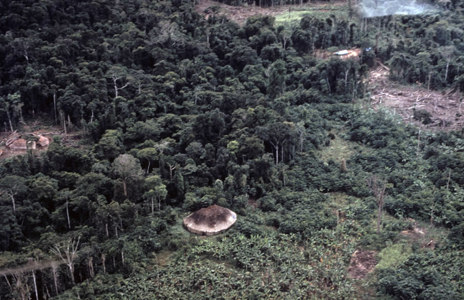 Cryptoforestry: Shabonos / Shaponos / Malokas in the Amazon