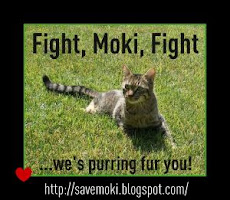 Get Well Soon, Moki