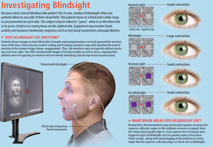 jWAN's Gallery What is Blind Sight اندھا پن کیا ہے