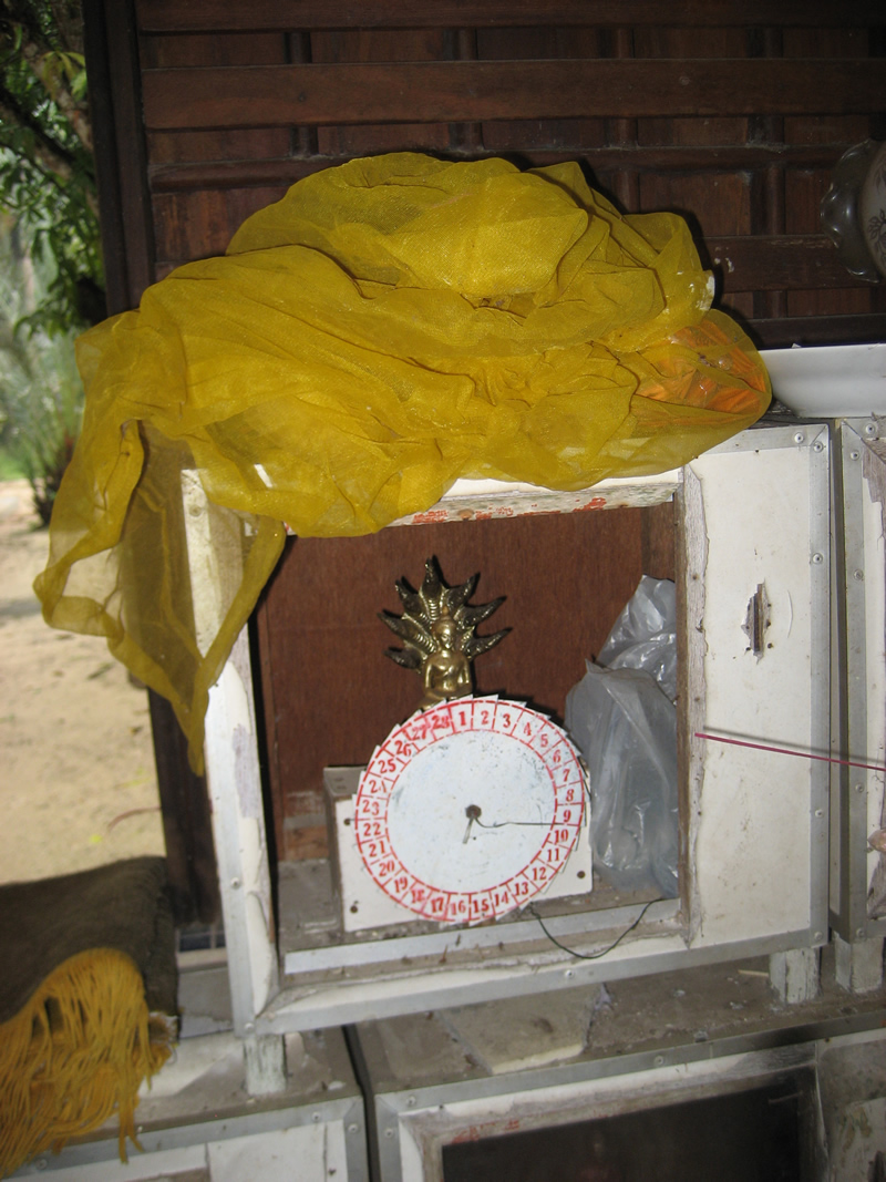 [BTN+17+nov+07+088.jpg]