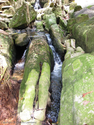 Magic Garden, Lamai