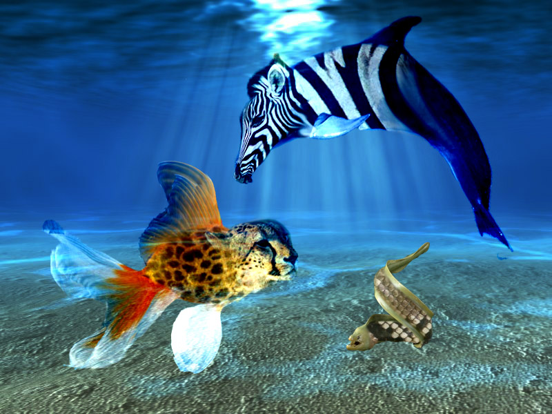 Lindsey Mixed Animal