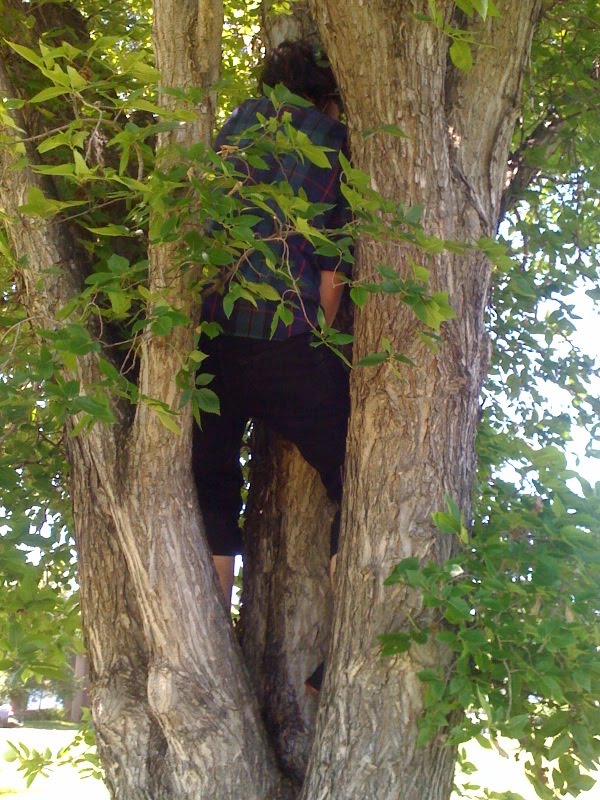 .RatTail west coast tour blog 7 pee in a tree