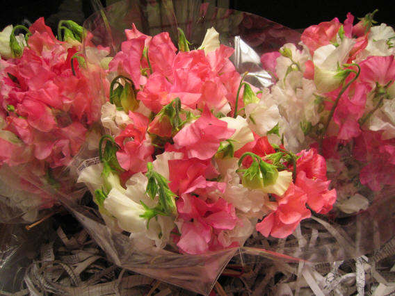 Sweet Pea Bouquets