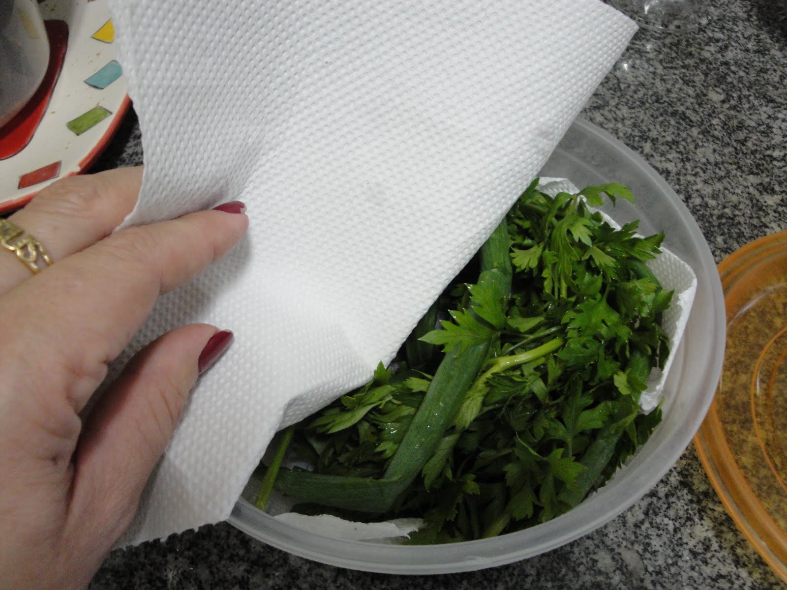 Blog da Neilinha Dica para conservar cheiro verde