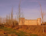Castillo de Sotopalacios.Burgos