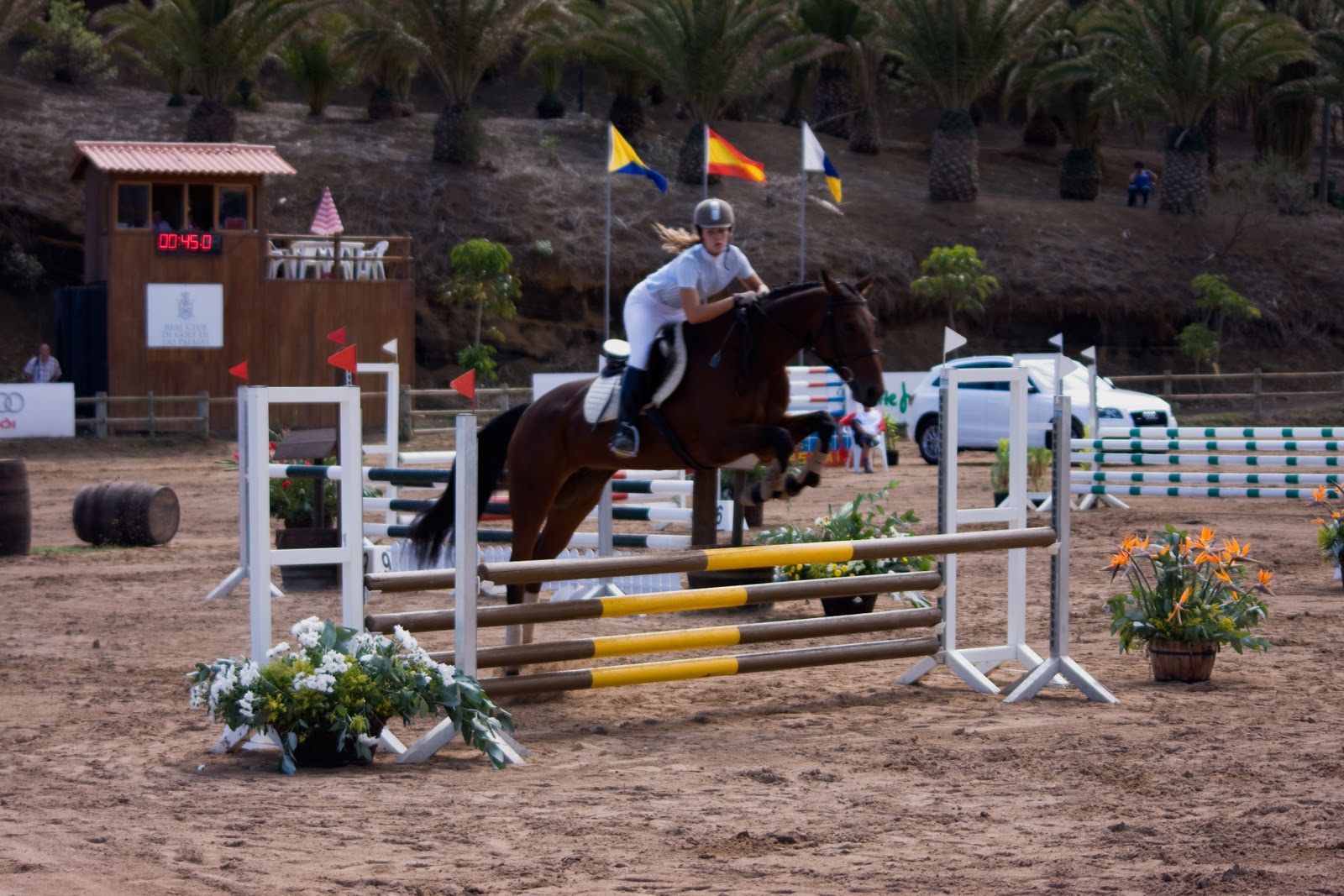 Gran Canaria "Un Paisaje por Descubrir" : XIII Copa Audi de Canarias 8 ...