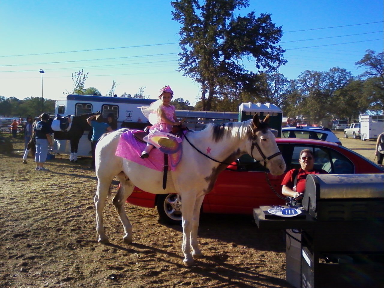 Safe Haven Horse Rescue Journal Judd, a Medicine Hat Paint