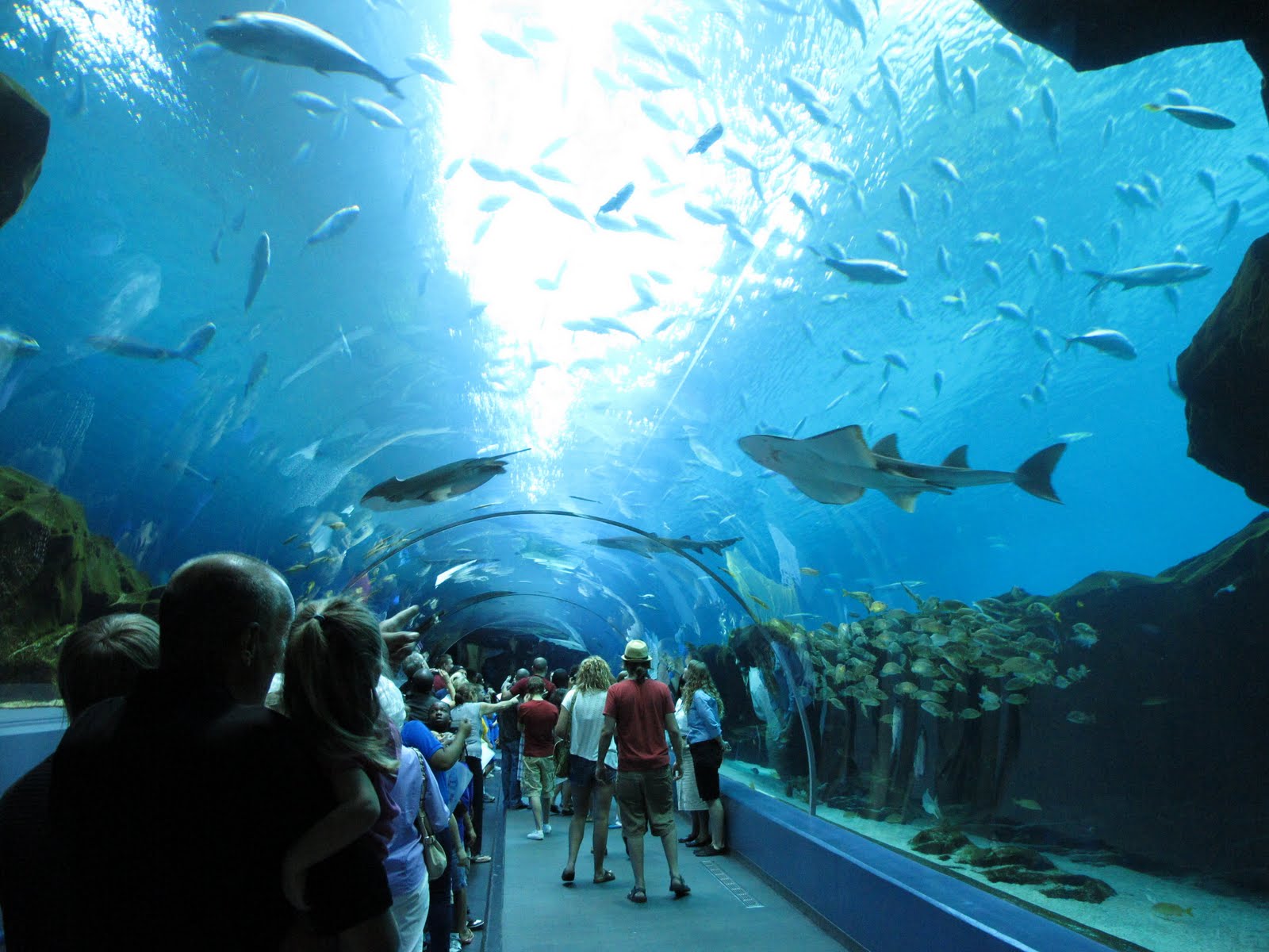 Les restaurants d'Atlanta près de l'aquarium