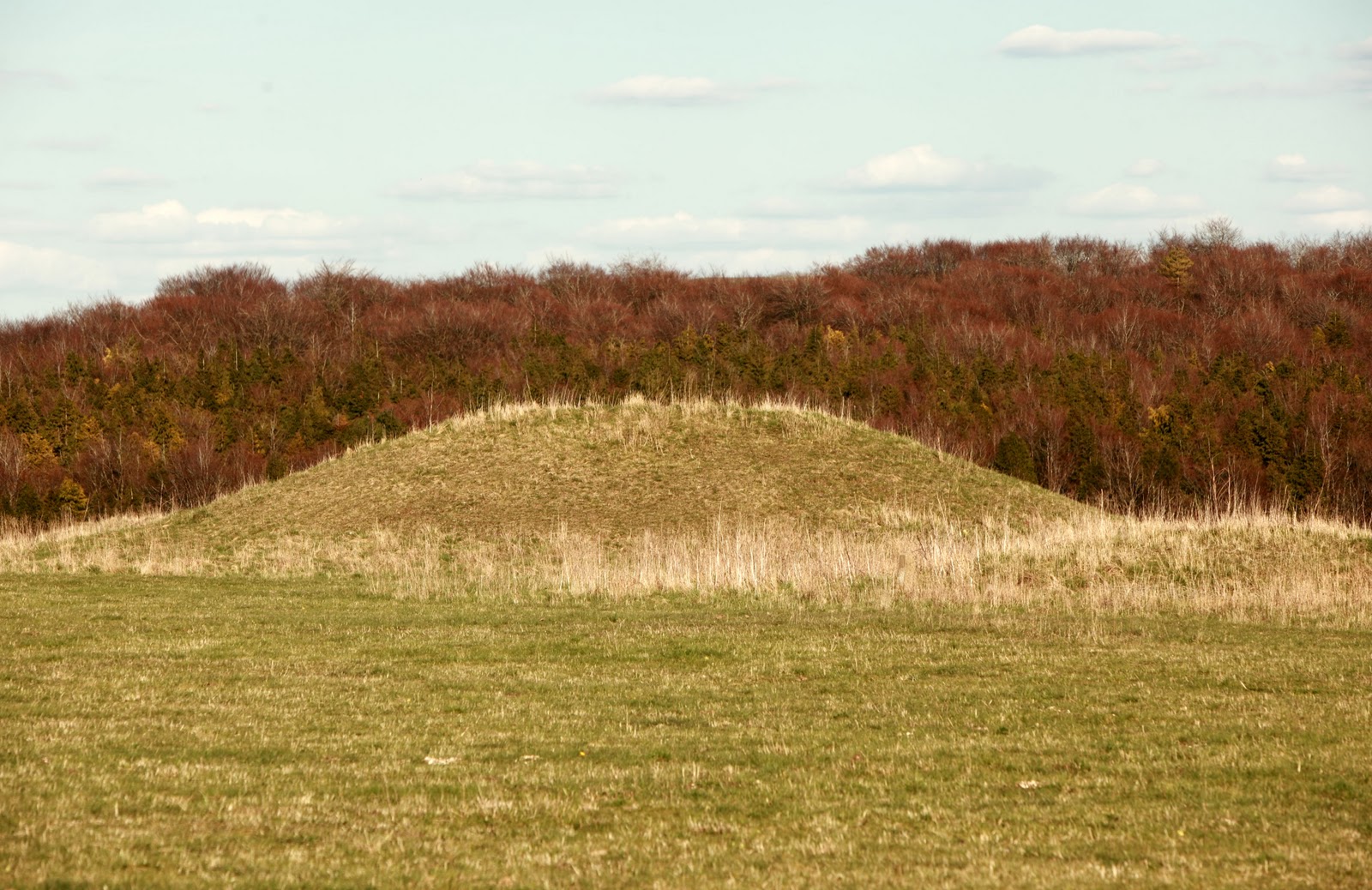 Wyvern Archaeology and History Update Ancient Burial Mounds