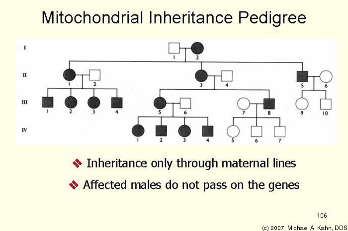 write a hypothesis that describes the mode of inheritance