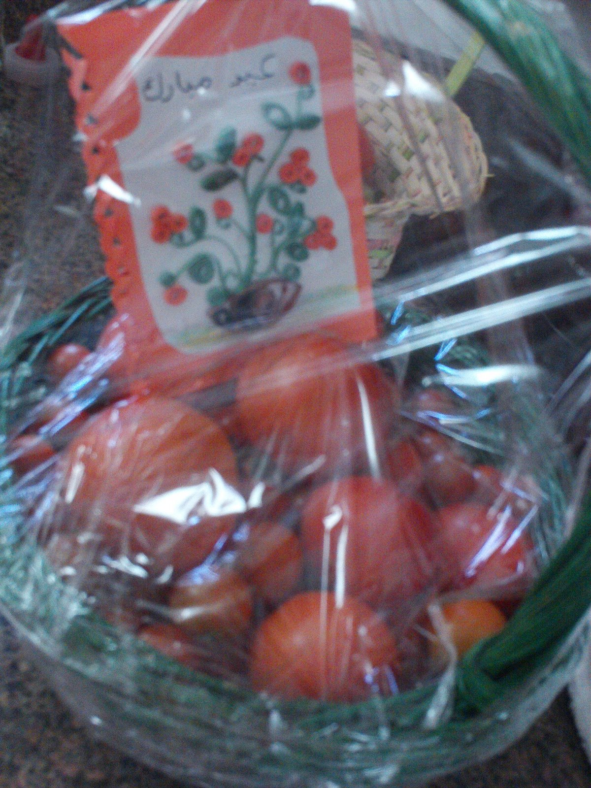 [Tomatoes+Eid+Gift.JPG]