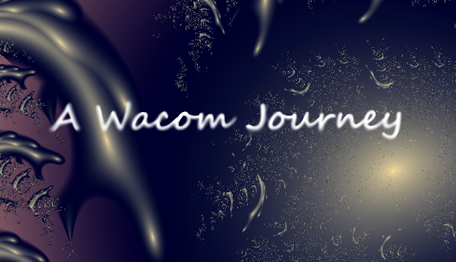 A Wacom Journey