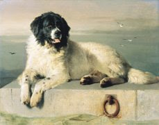 A distinguished member of human society, by Sir Edwin Landseer