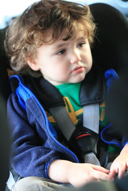 Puffy Winter Coats Are Unsafe In Car Seats  Newborn car seat safety,  Carseat safety, Baby winter coats