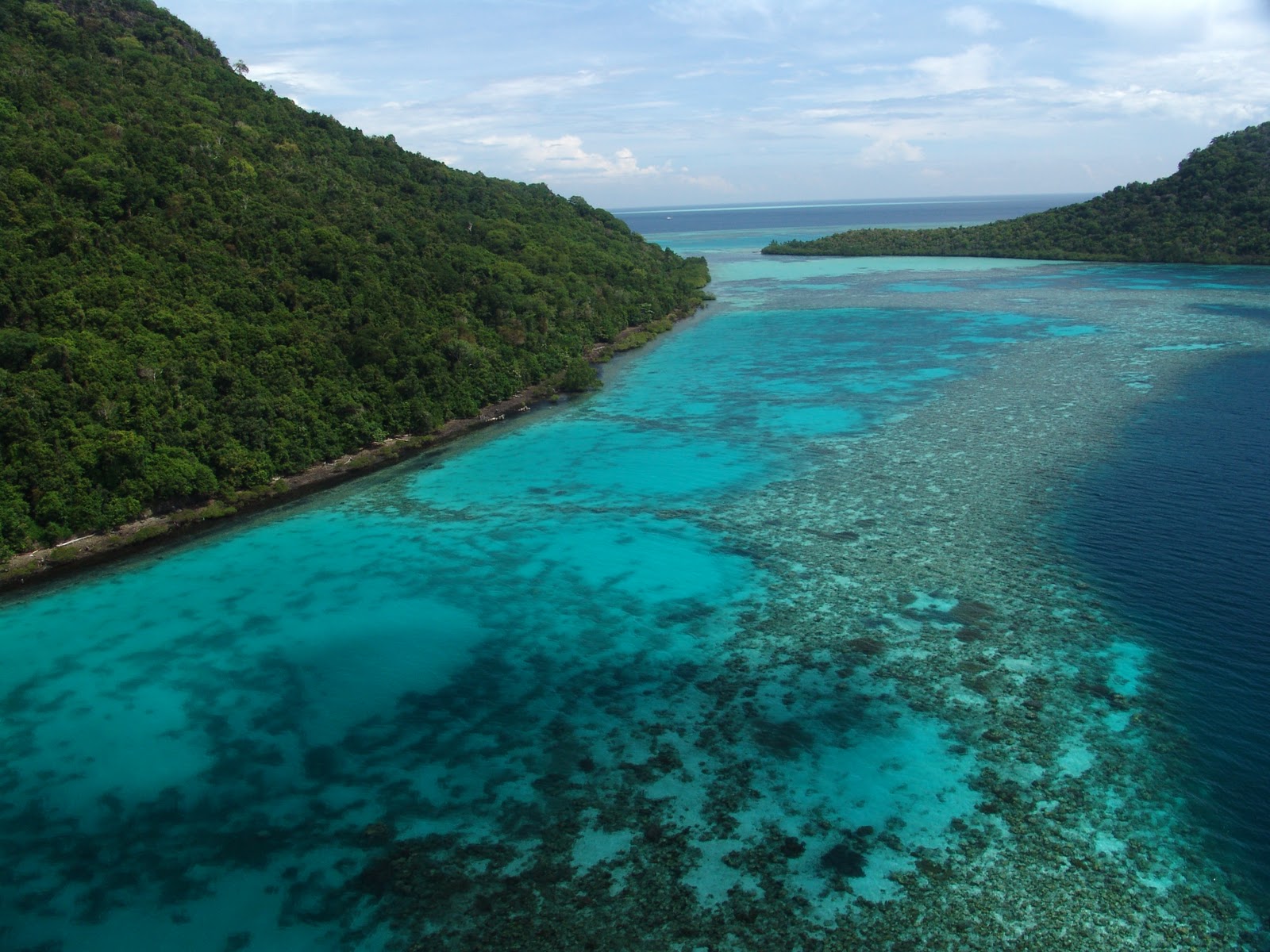 Malaysian Grouper Fishes: Research On Groupers.