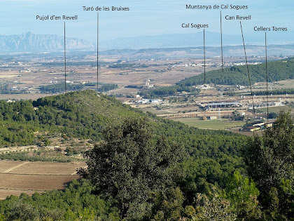 Vista des del Coll de la Font de Maiol