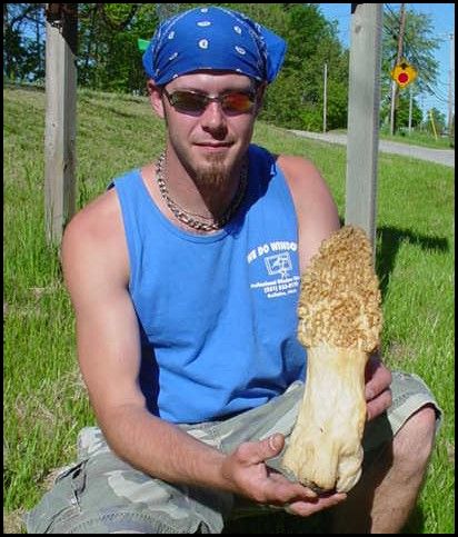 [morel.JPG]