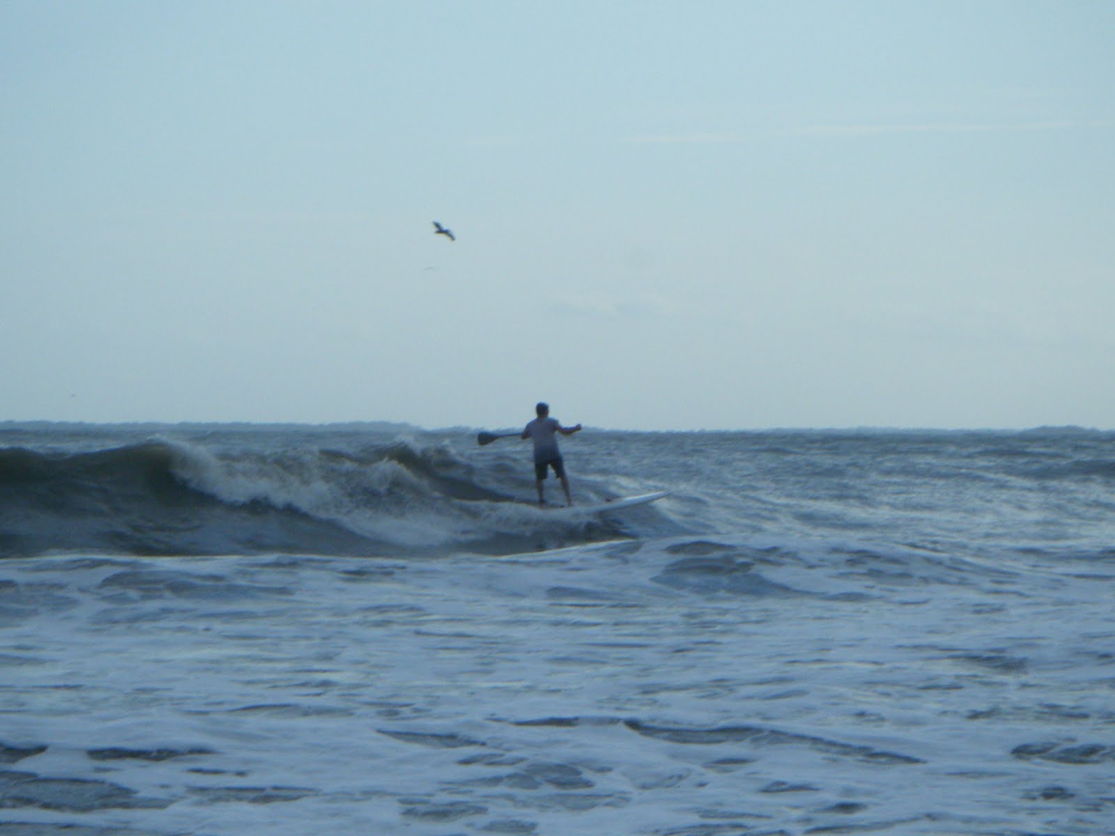 Atlantic Paddle Surfing Tower Beach Sea Pines Session