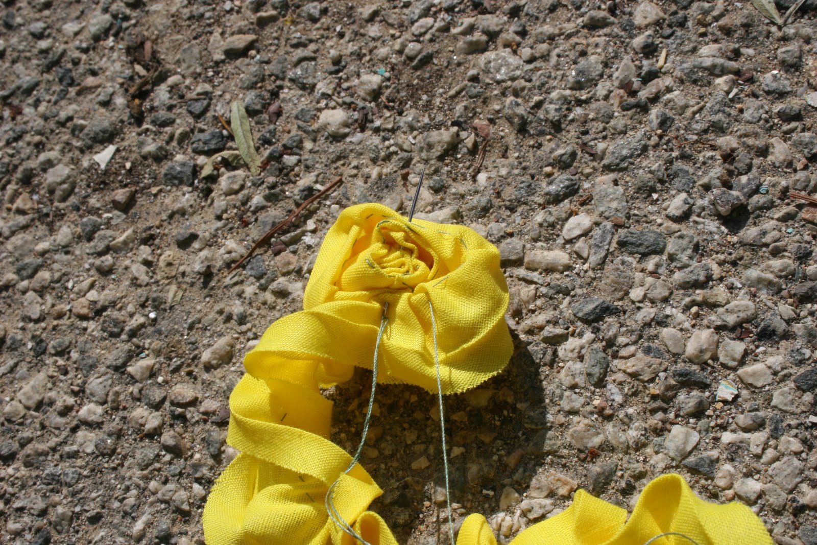 [IMG_4524.JPG]
