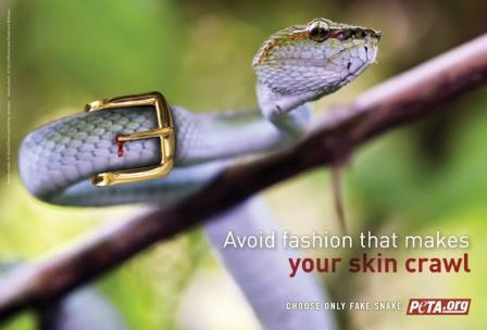 [snakeskin_belt.jpg]