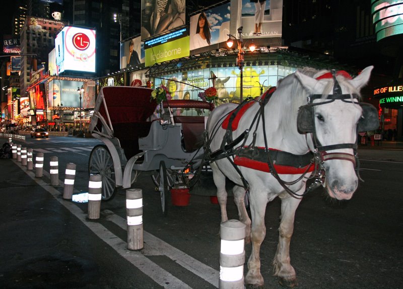 [carriage-ride-1b.jpg]