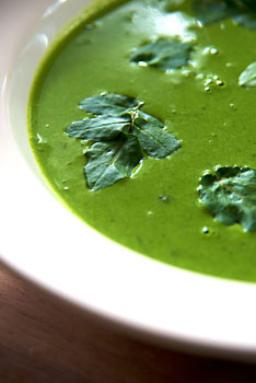 [watercress-soup.jpg]