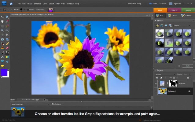 what is photoshop elements what is photoshop elements