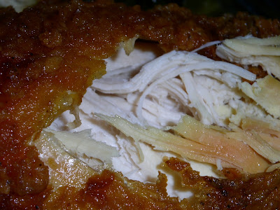 Fried+chicken+close+up.JPG