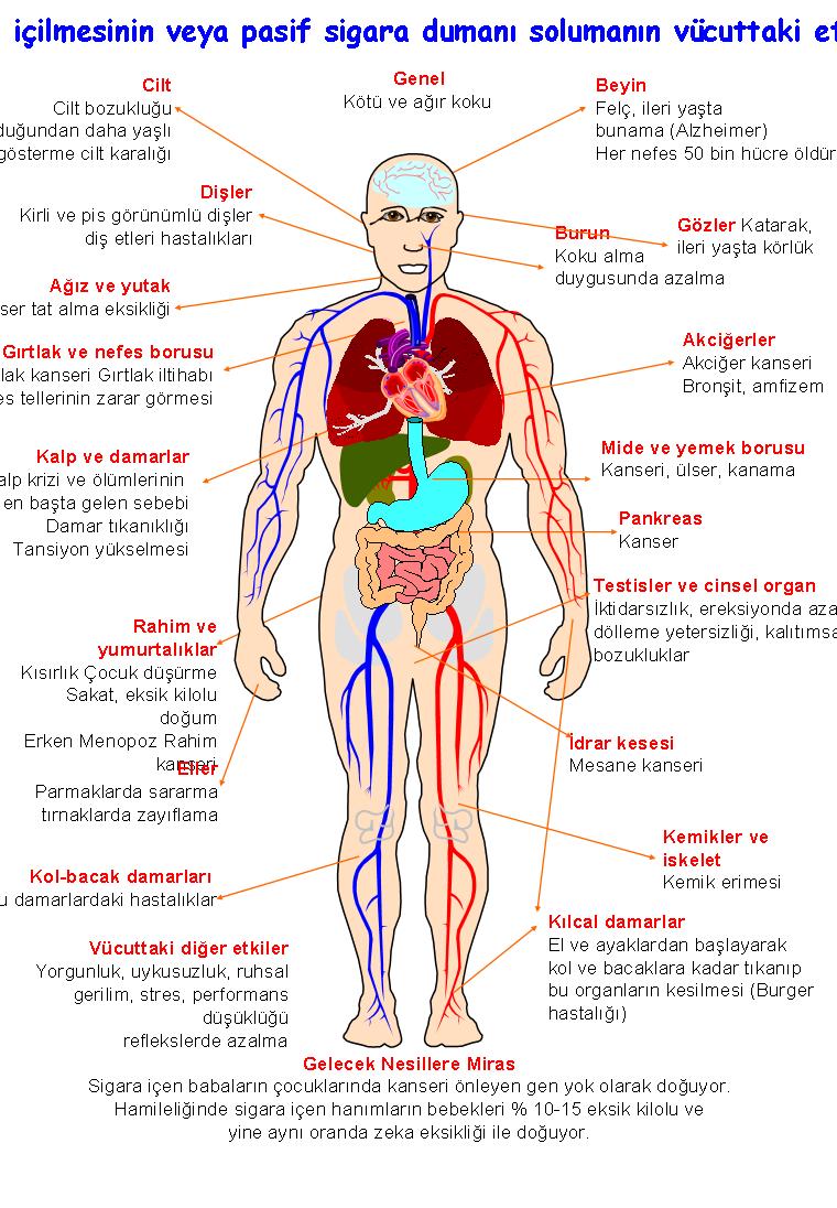 Ülser neden olur ile Etiketlenen Konular Ülser neden olur ile Etiketlenen Konular