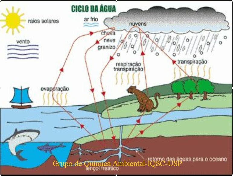 Completely What You Need Os Ciclos Biogeoquimicos