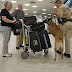 La policía de Miami-Dade busca explosivos en el aeropuerto de Miami.