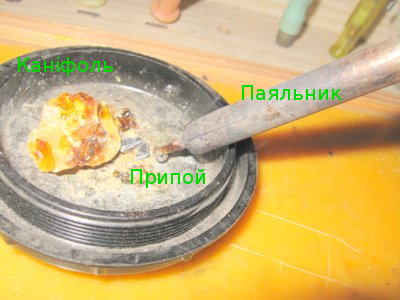 [kanifol.jpg]