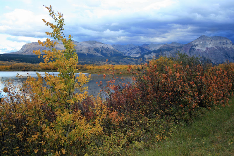WATERTON LAKES NATIONAL PARK - Recorriendo la costa oeste de Canadá y la Península Olympic en EEUU (1)