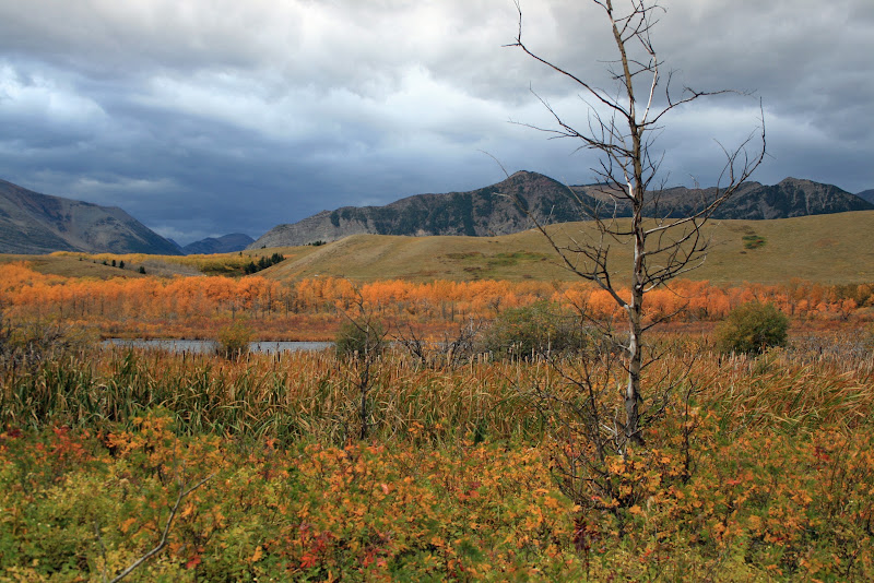 WATERTON LAKES NATIONAL PARK - Recorriendo la costa oeste de Canadá y la Península Olympic en EEUU (2)