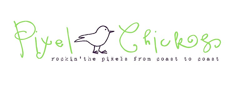 * the Pixel Chicks *