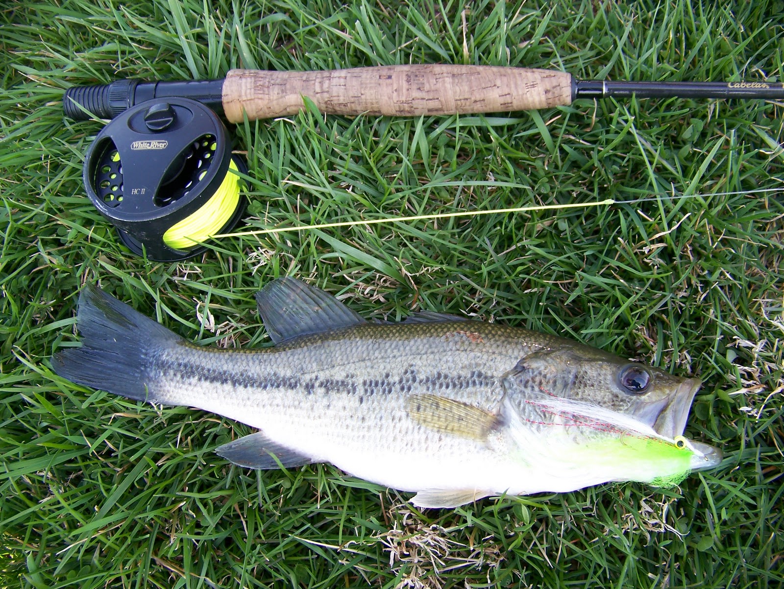 Fly Fishing the West with Howard Bass and Blue Gill in Cincinnati