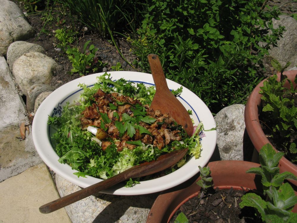 Life in the Deep South of France Using up leftover duck confit