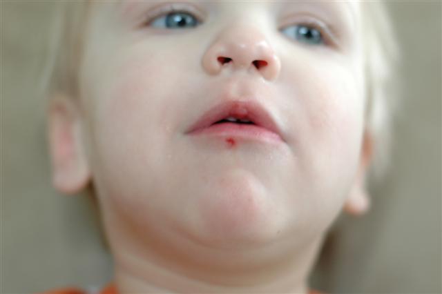 [DSC_0099+(Small).JPG]