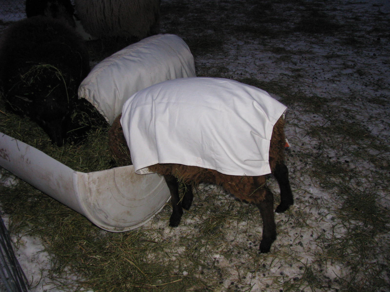 Becky Utecht Felt & Fiber Homemade Sheep Covers